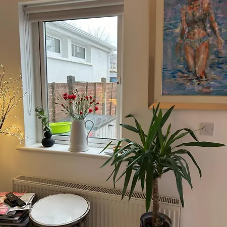 Recently Renovated Doughiska